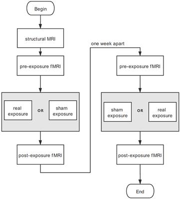 No Alteration Between Intrinsic Connectivity Networks by a Pilot Study on Localized Exposure to the Fourth-Generation Wireless Communication Signals